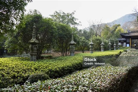  ¡Sumérgete en la Historia y la Naturaleza en el Templo de Yongfu!