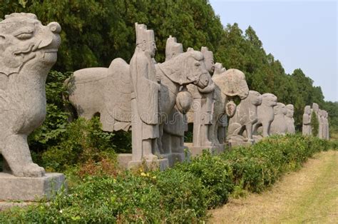 ¡Sumérgete en la historia con las impresionantes tumbas de la dinastía Song en Quzhou!