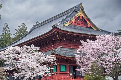 ¡Explora la magia ancestral en el Templo de Yuxianqiao! Un santuario budista remoto y exuberante